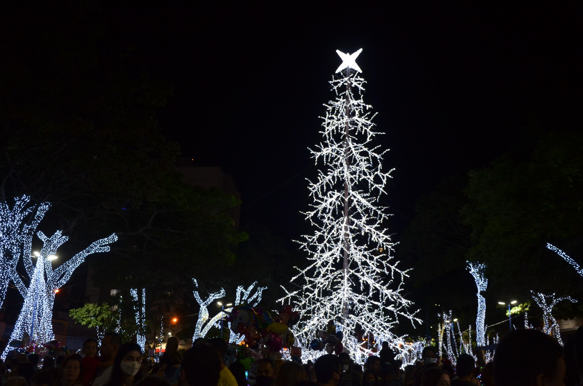 Licitacao natal original