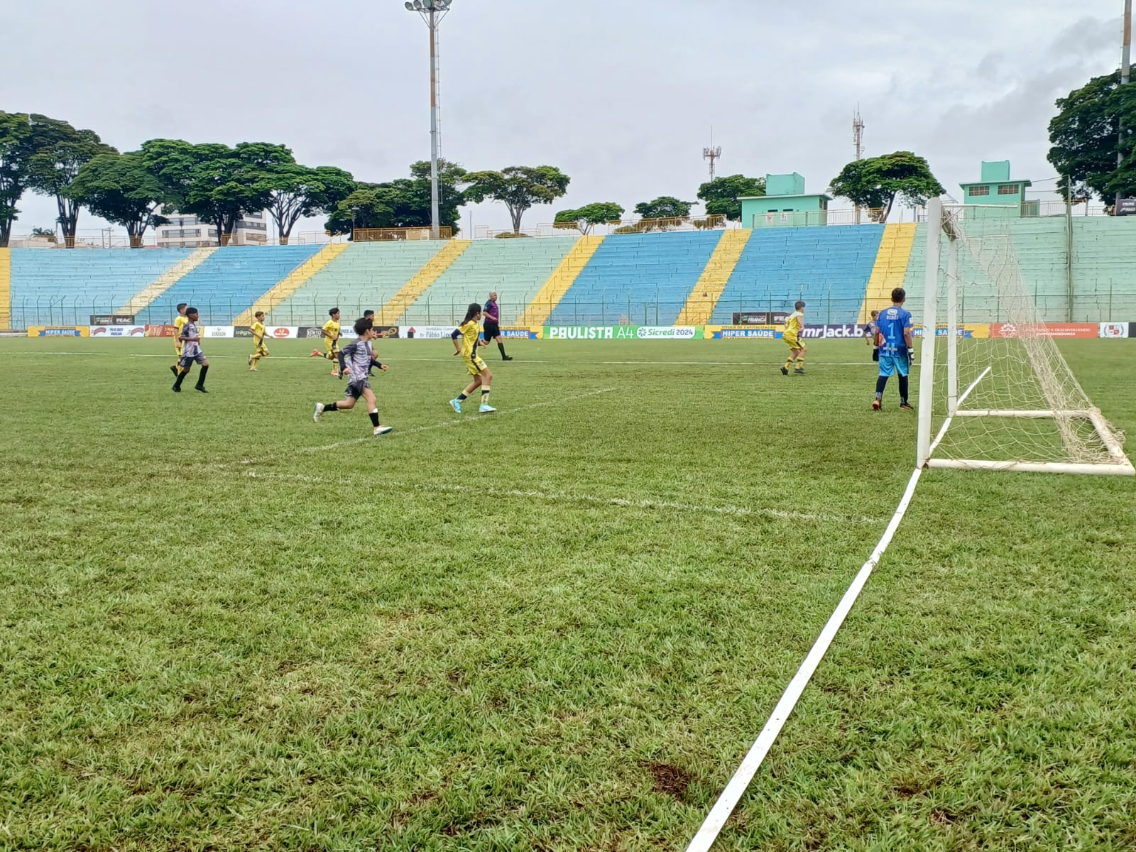 Copa Infantil original