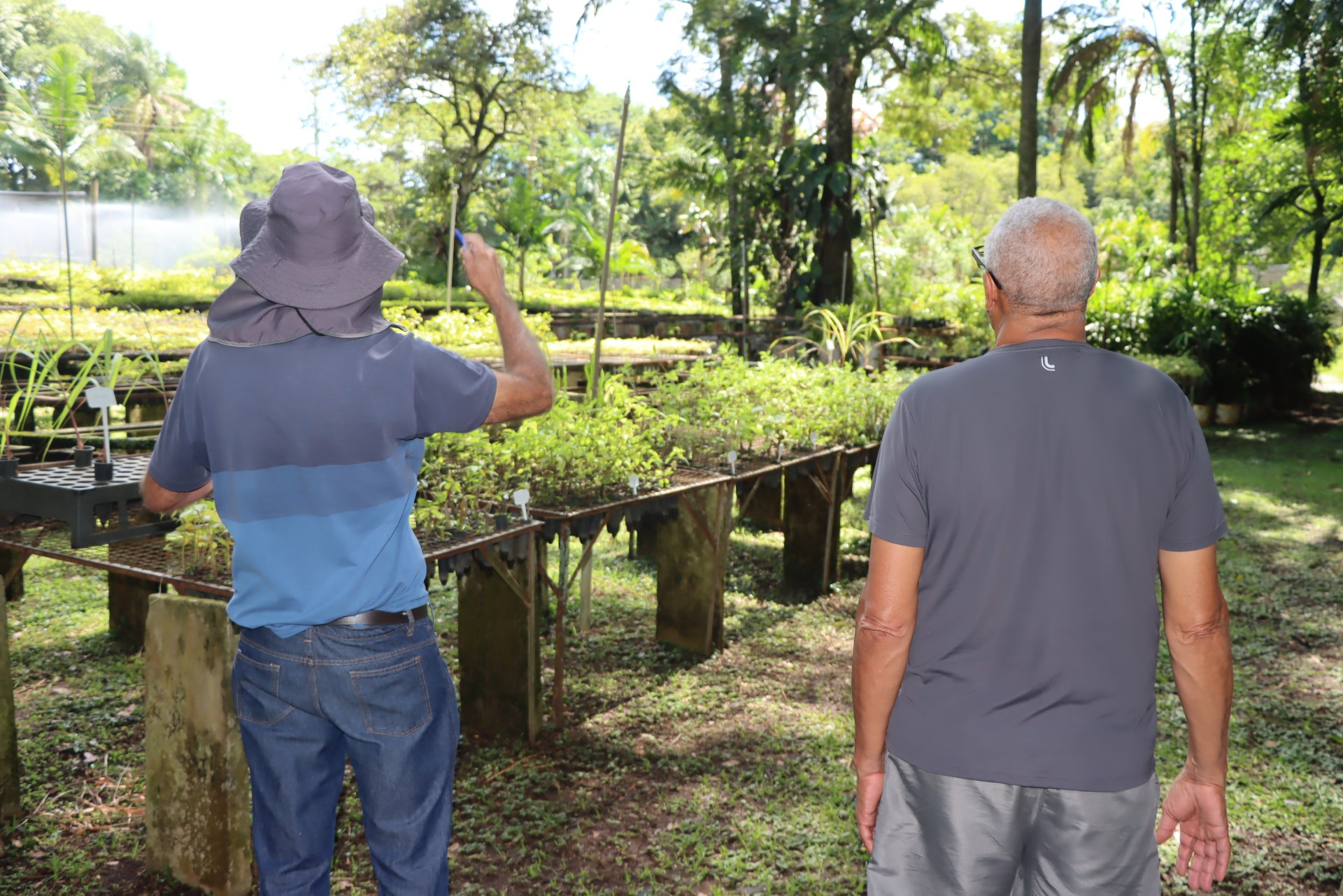 Jardim Zoobotanico original