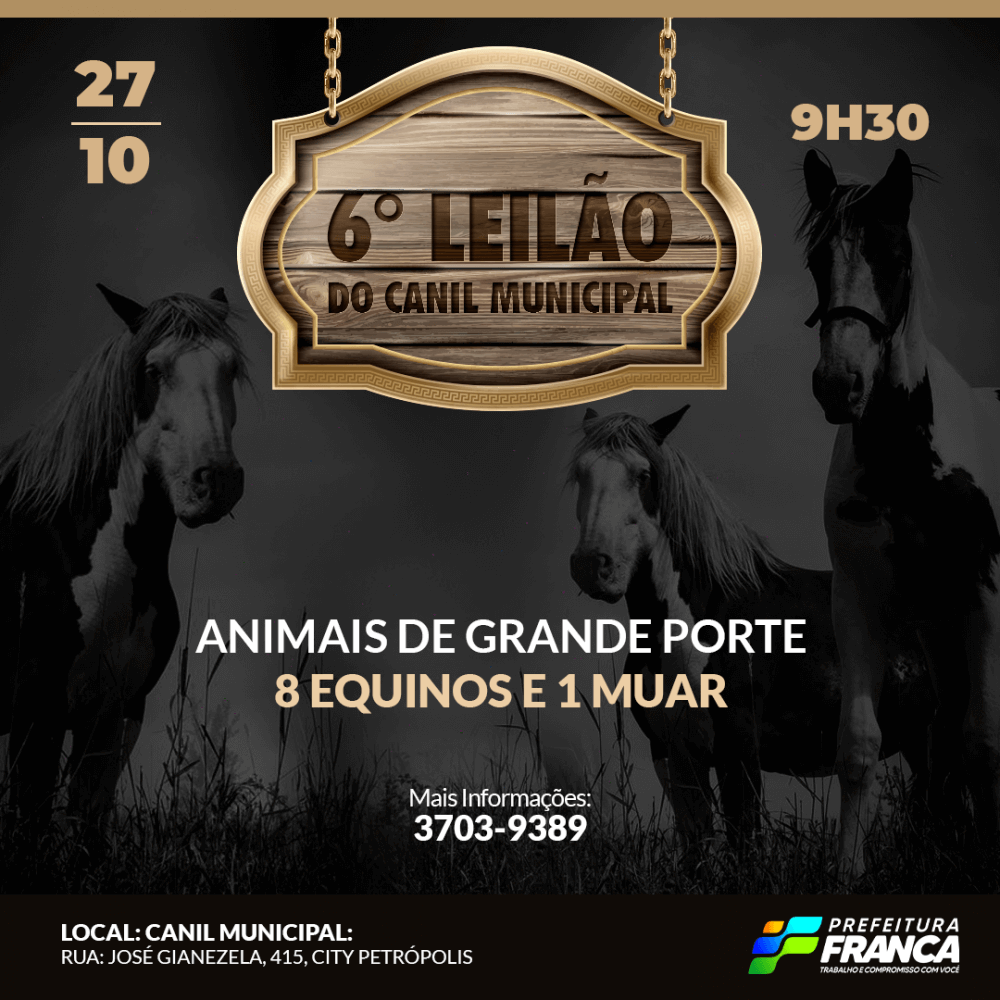 Leilao 27.10