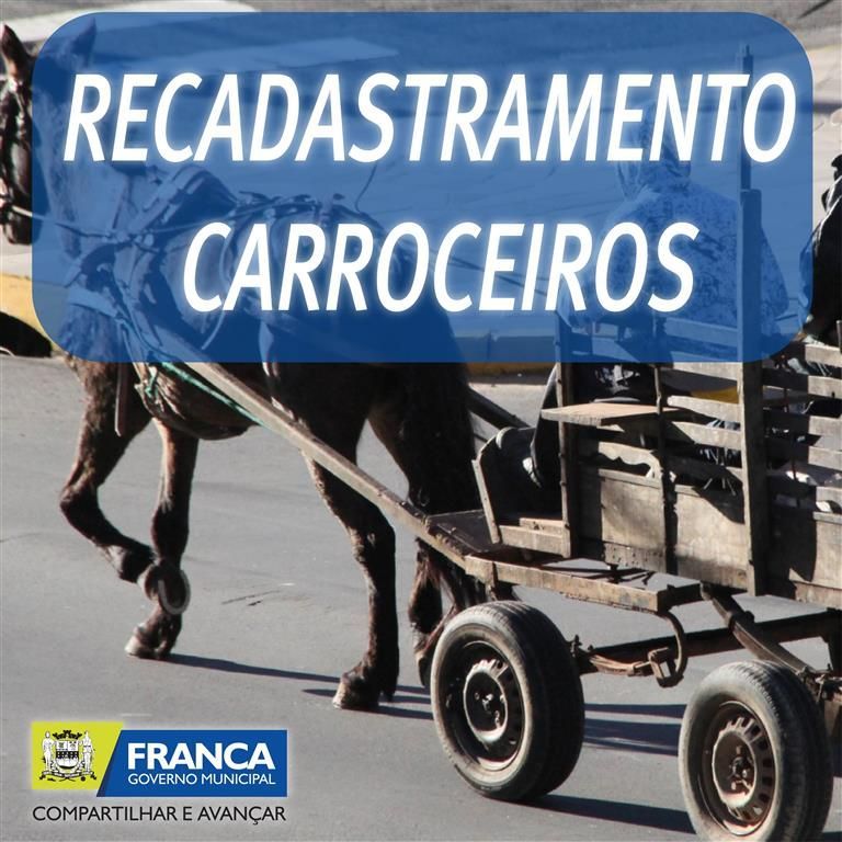 carroceiros Prancheta 1 Medium