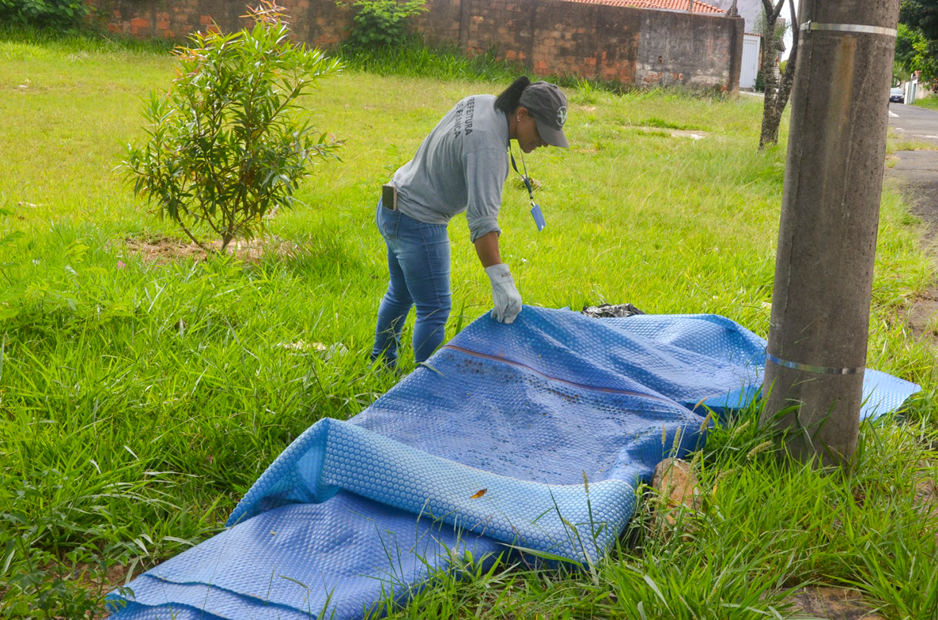 agente de saude combate dengue original