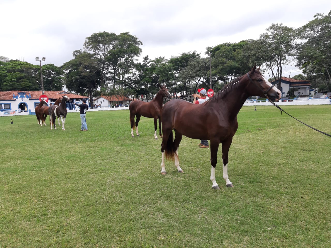 expoagro1