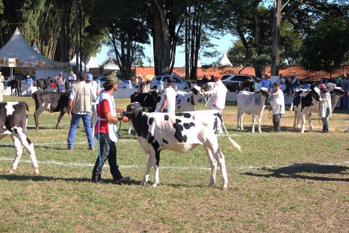 expoagro Small