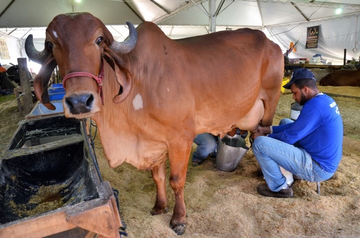 Expoagro