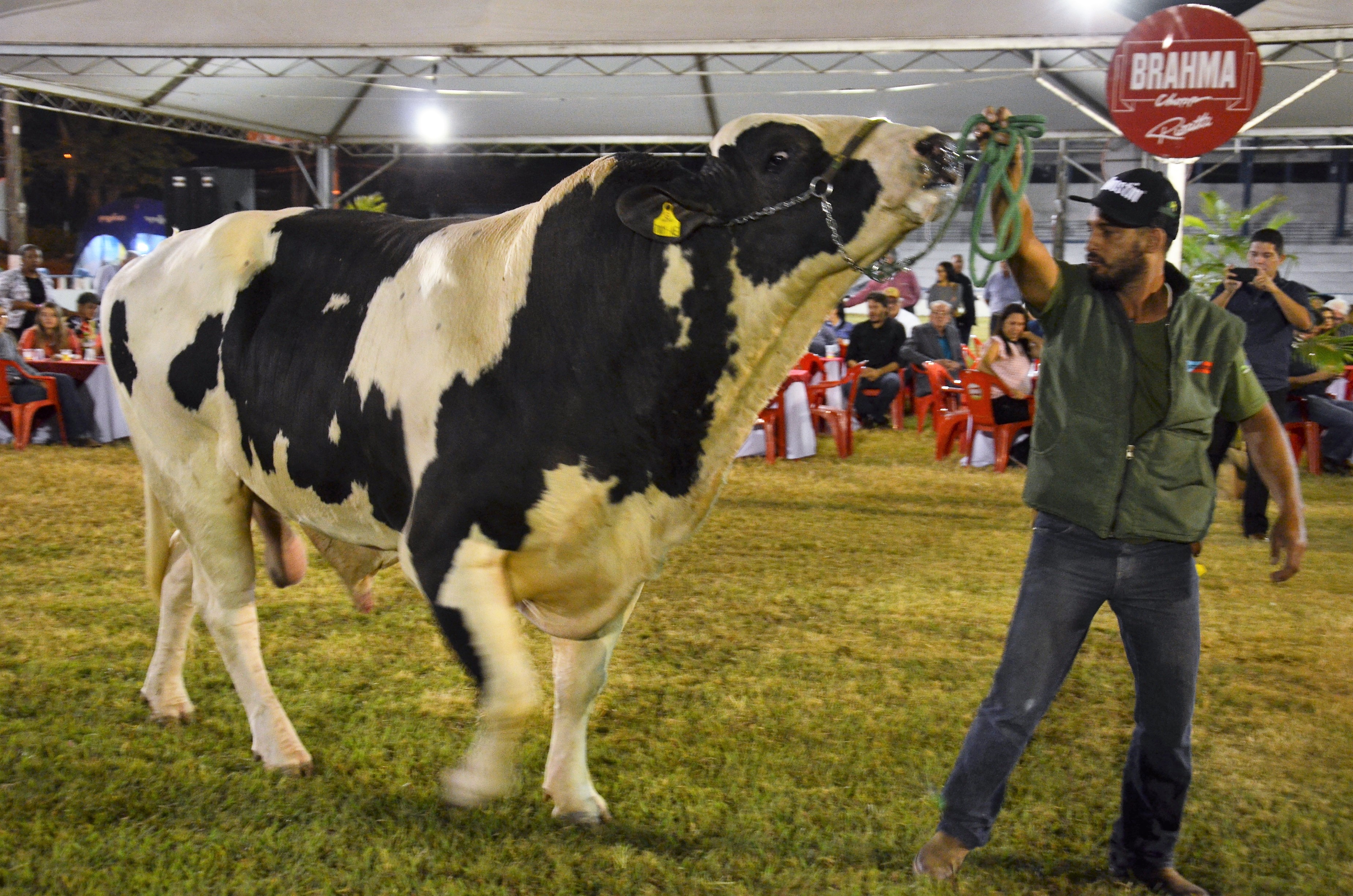 expoagroabertura06