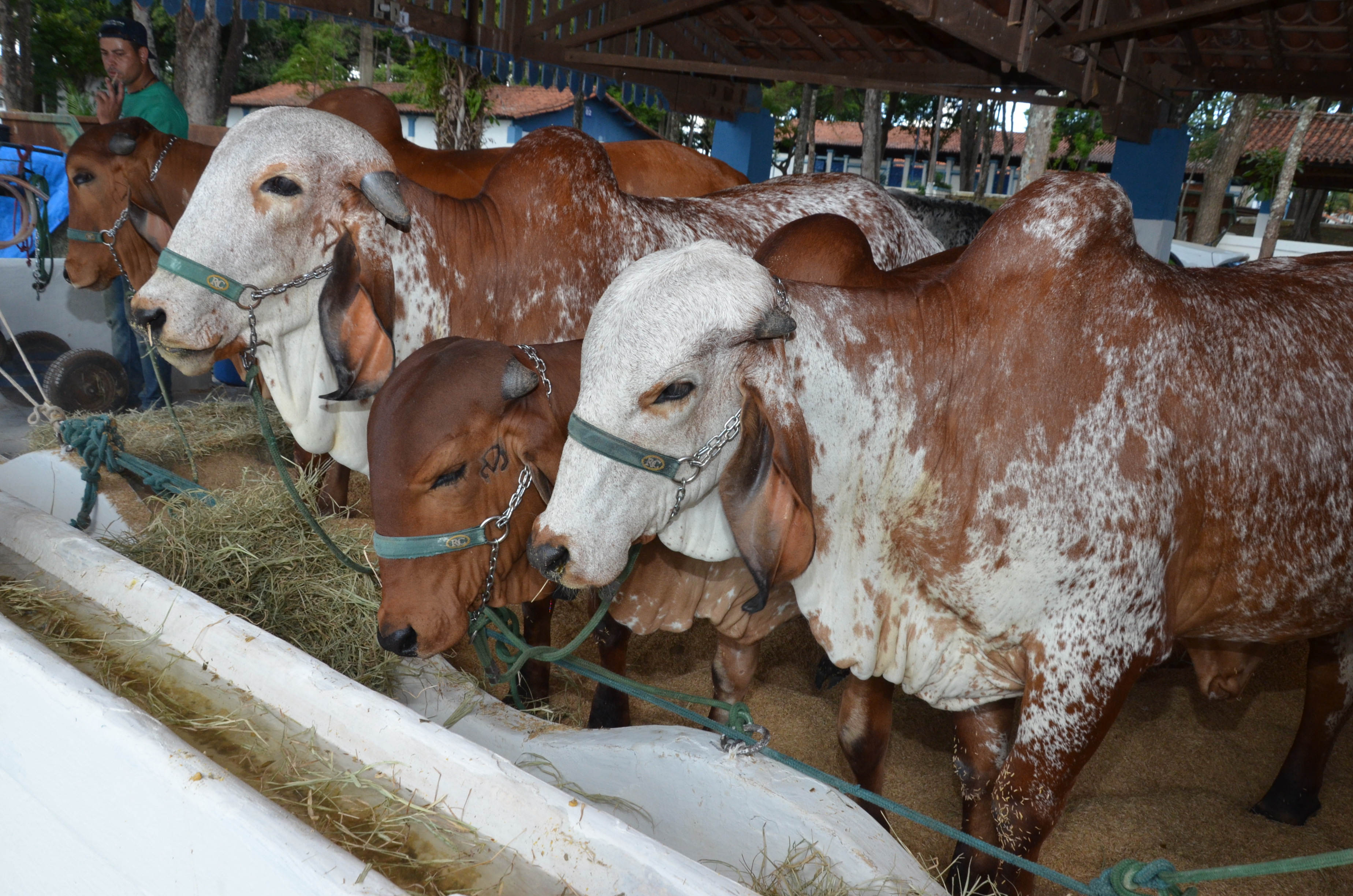 expoagro201904