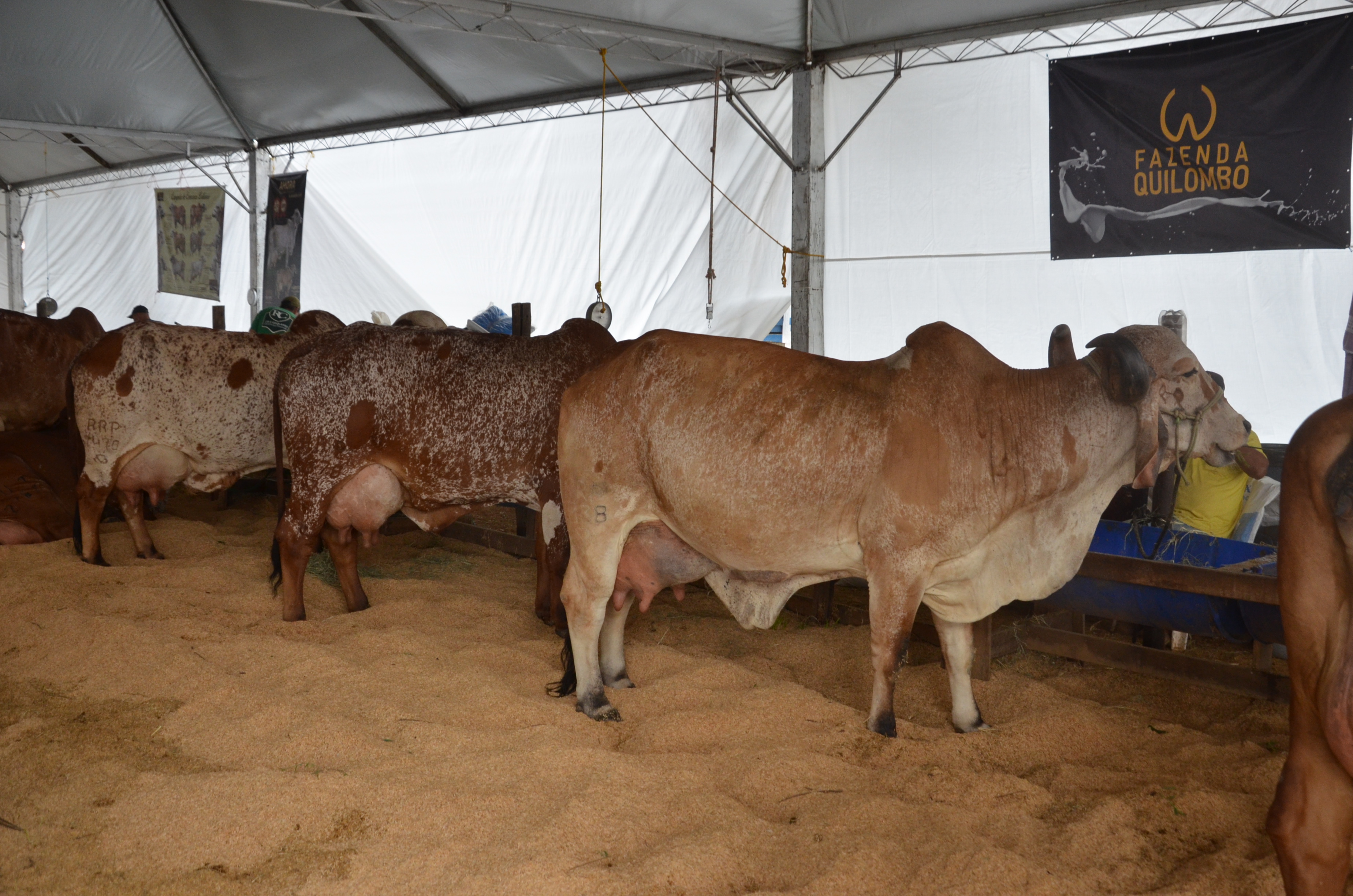 expoagro201904