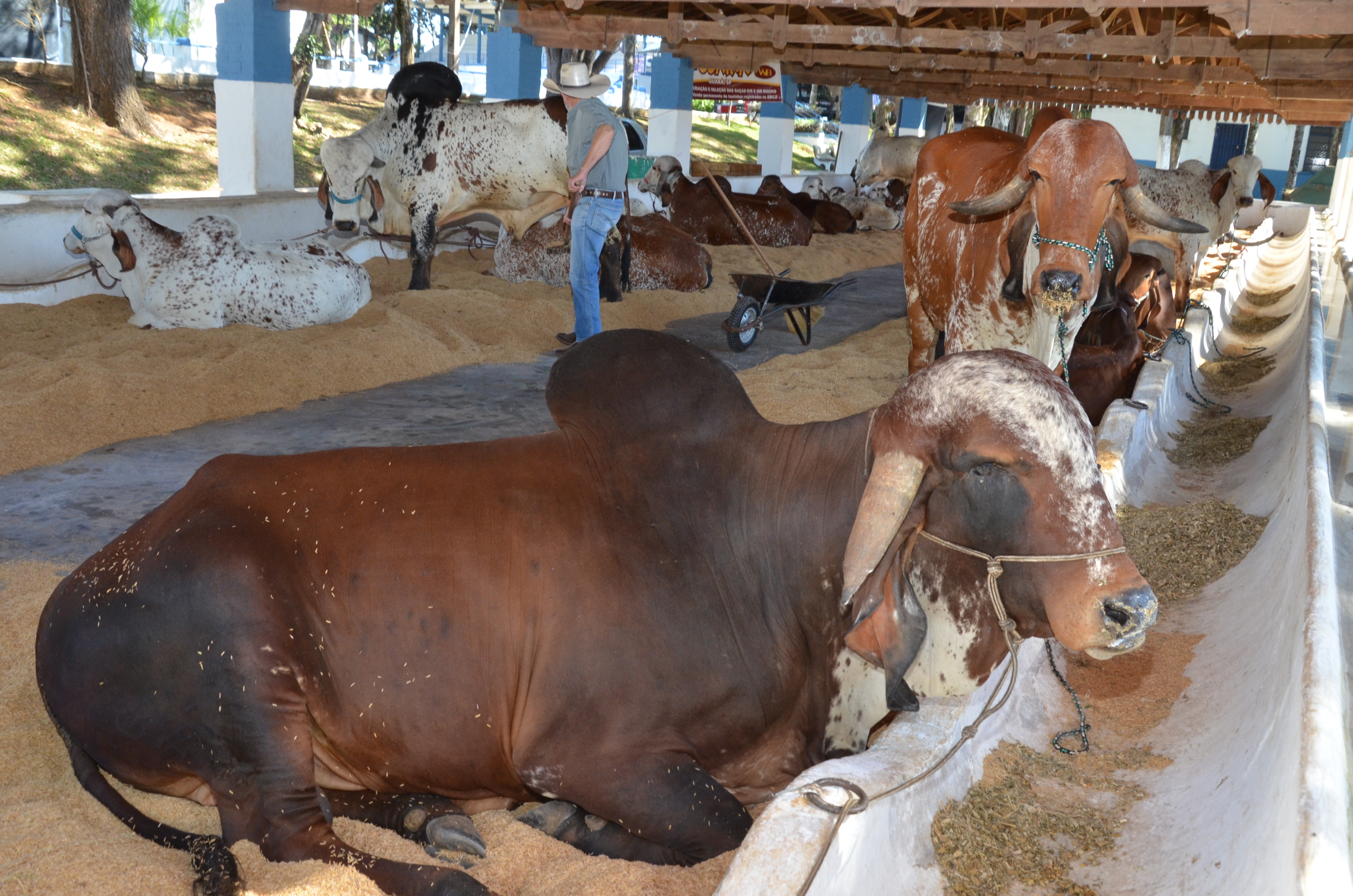 expoagro