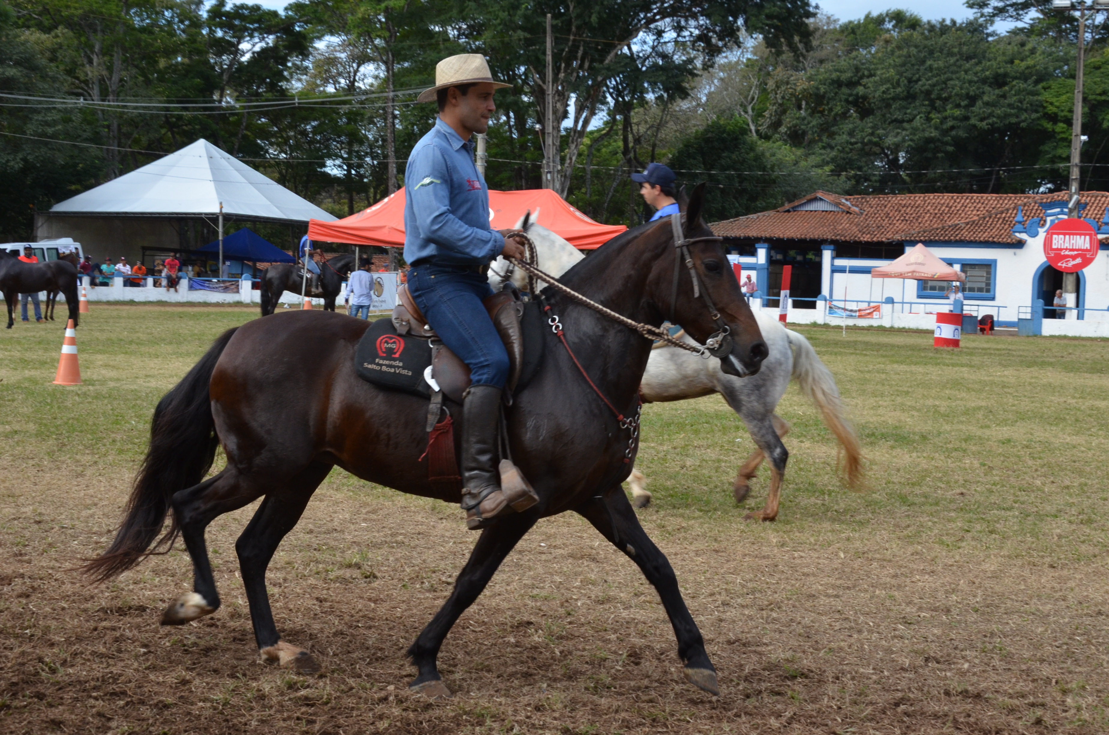 expoagro01