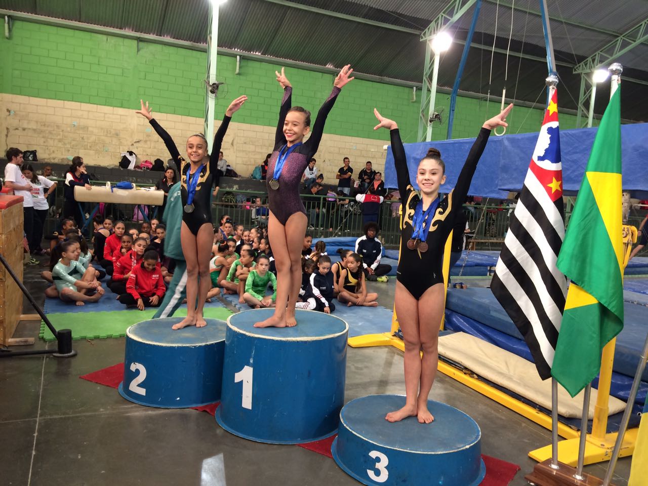 festivaldeginastica fem